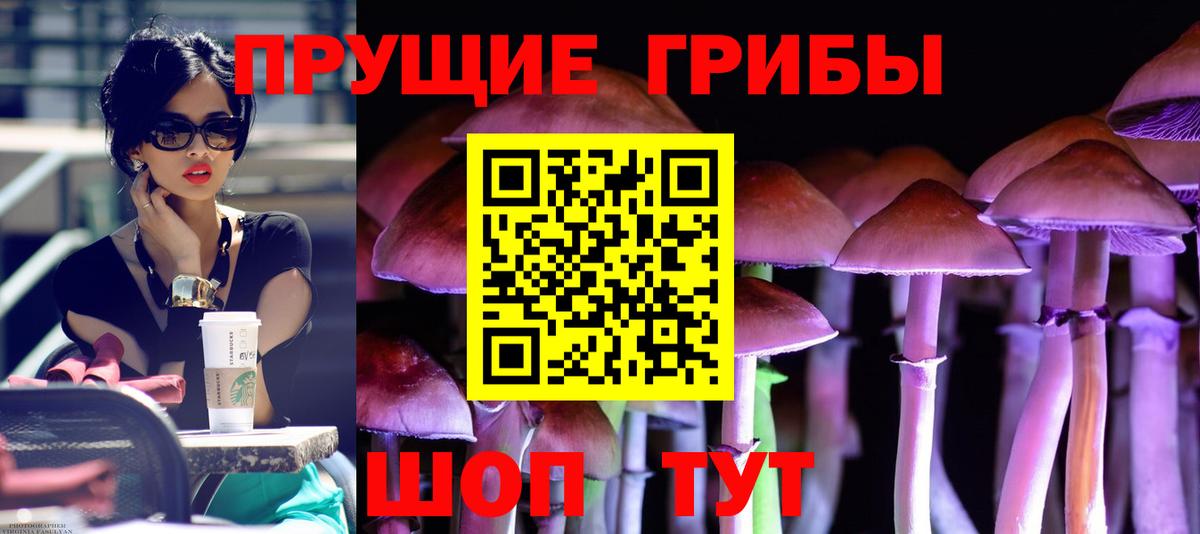 Галлюциногенные грибы мухоморы Тында