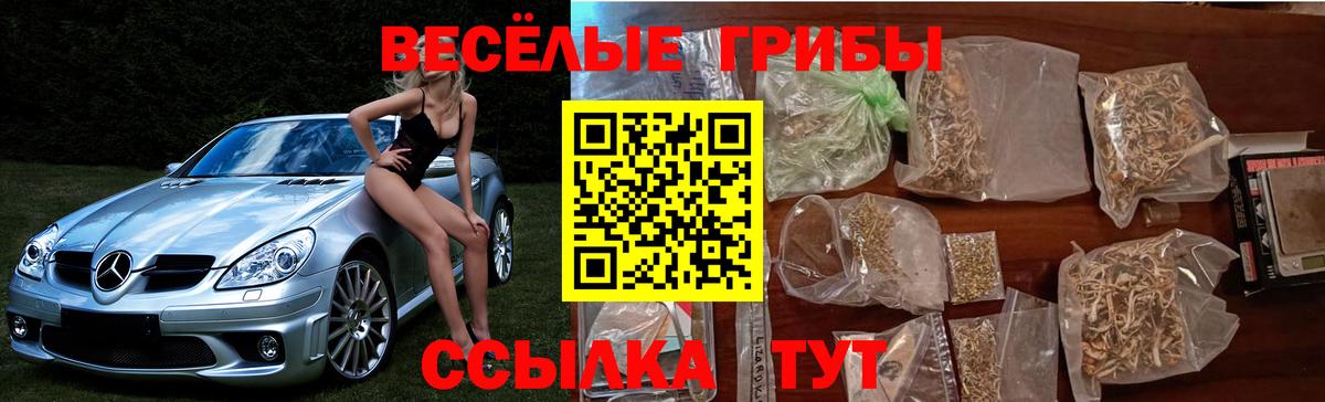 Псилоцибиновые грибы Cubensis  Псилоцибиновые грибы Psilocybine cubensis  Тында  Вход с VPN 