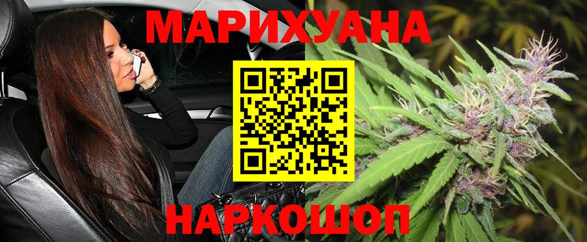 Конопля планчик Тында